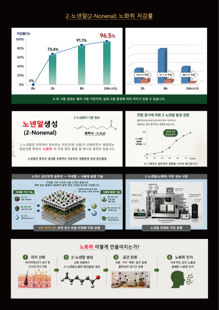 카탈11